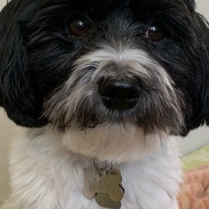 Meet your Posher, Lisa